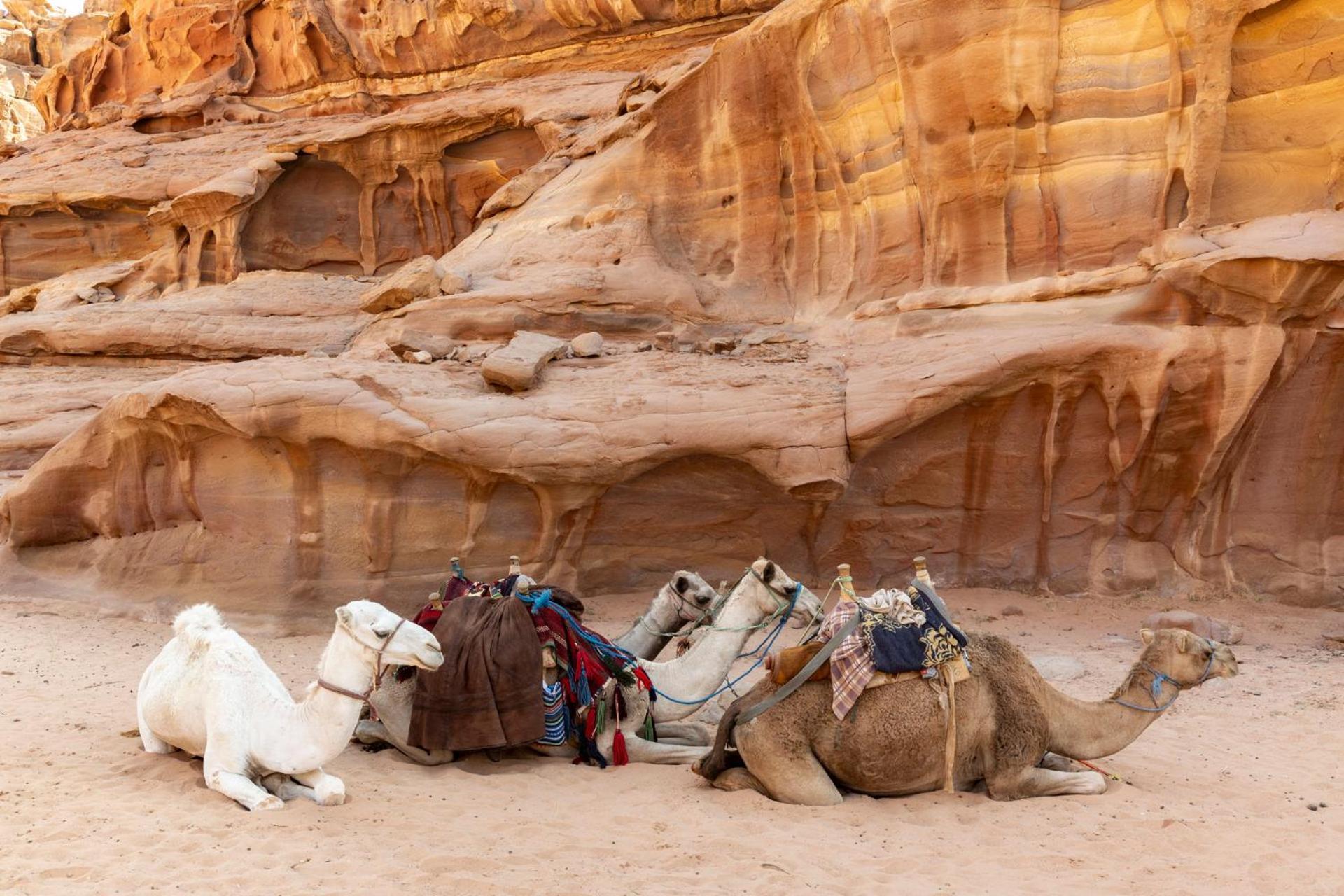 Wadi Rum Camp & Jeep Tour Exterior photo